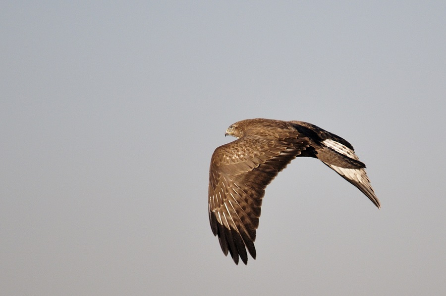 Ho voglia d''aria, esco a farmi un giro